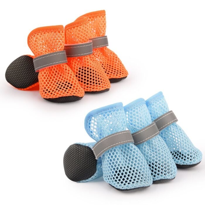 19 pet glowing light up shoes