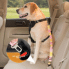 Pet car seat belt