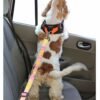 Pet car seat belt