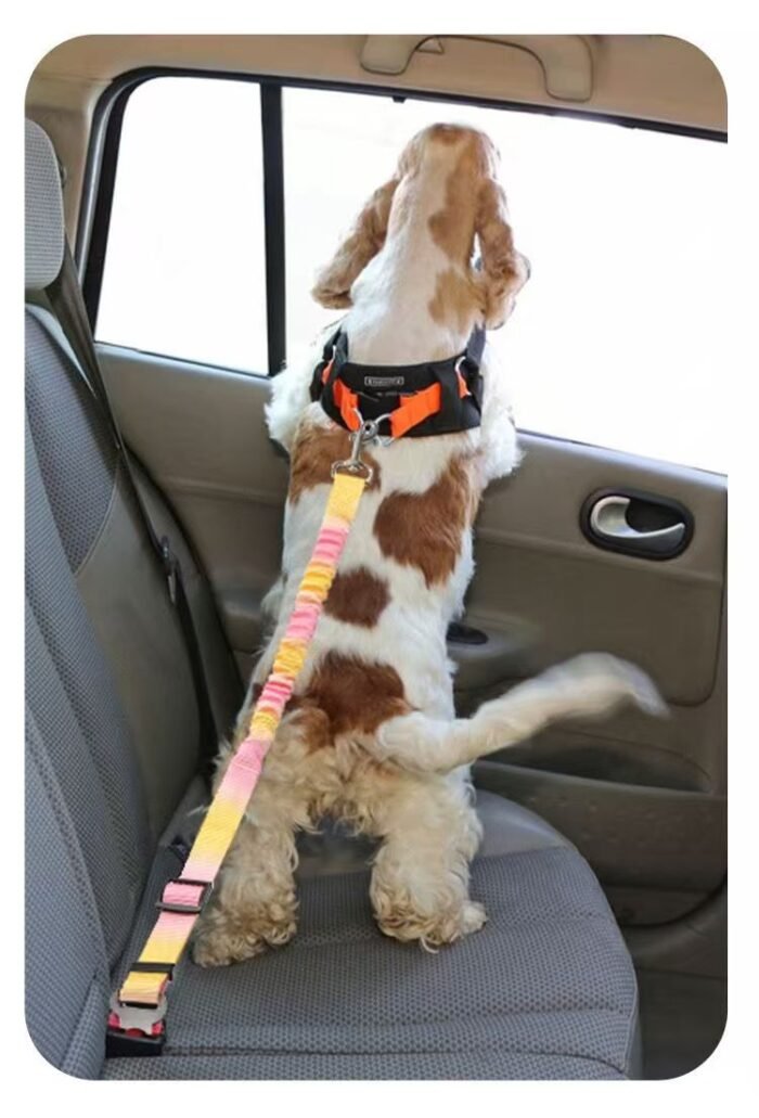 Pet car seat belt