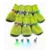 8 pet glowing light up shoes